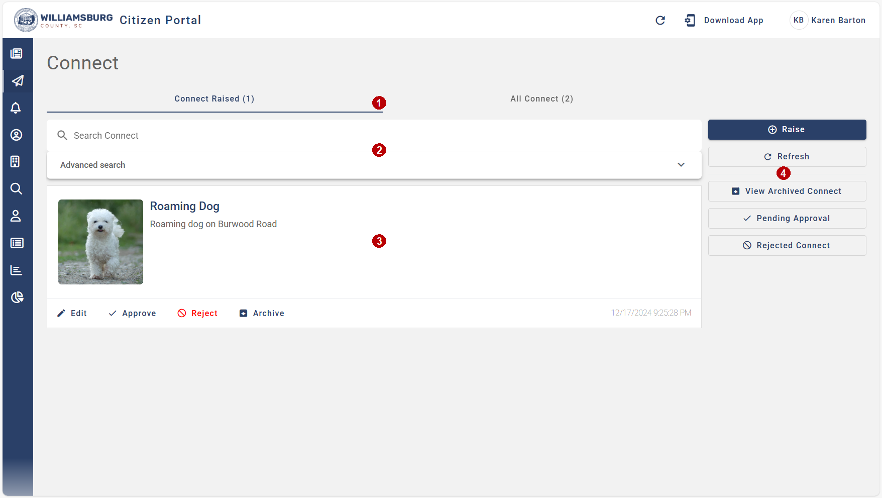 issues overview